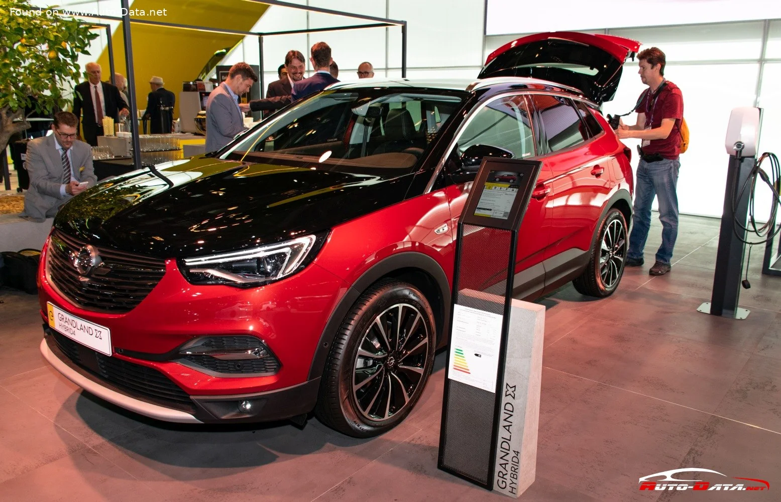 Opel Grandland 1.2 Turbo (130 Hp)2017 - 2018 thumbnail 9