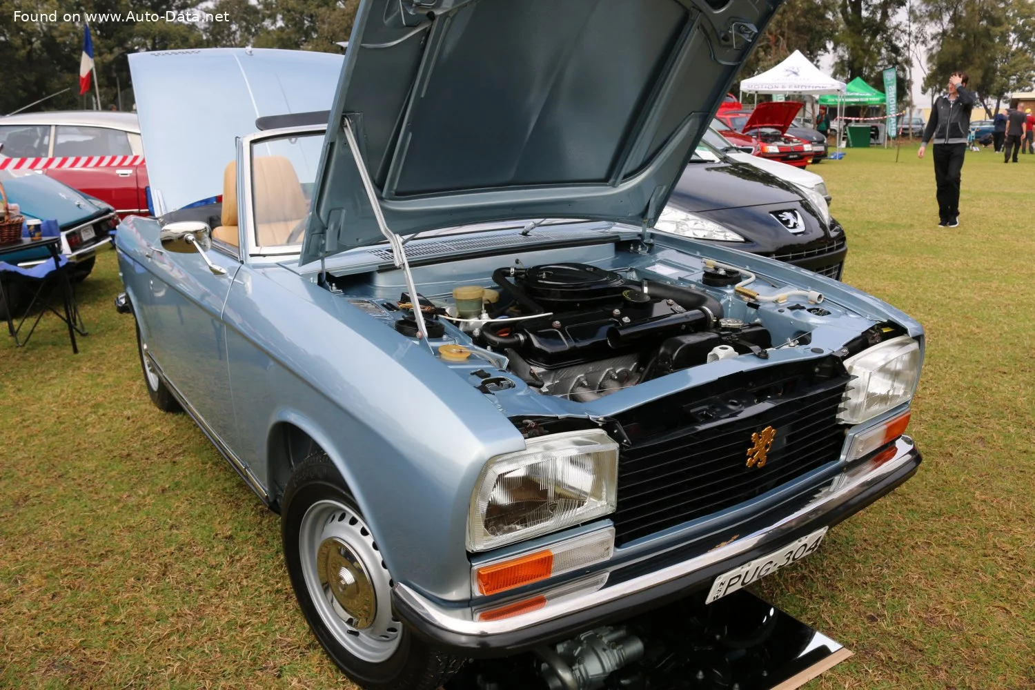 Peugeot 304 1.3 (B01) (65 Hp)1970 - 1973 thumbnail 4