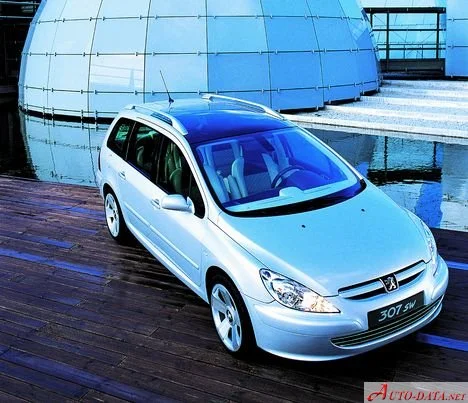 Peugeot 307 1.6 16V (109 Hp)2002 - 2005 thumbnail 3