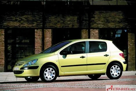 Peugeot 307 1.4 (75 Hp)2001 - 2005 thumbnail 12