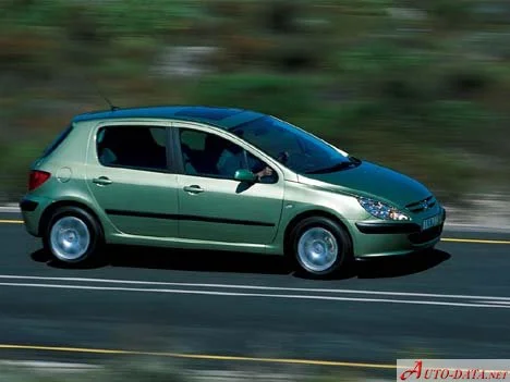 Peugeot 307 1.4 (75 Hp)2001 - 2005 thumbnail 6