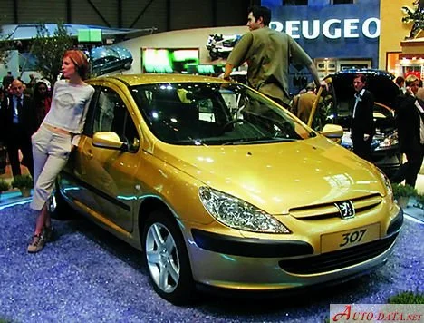 Peugeot 307 1.4 (75 Hp)2001 - 2005 thumbnail 9