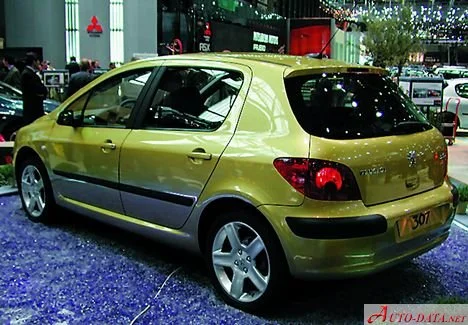 Peugeot 307 1.4 (75 Hp)2001 - 2005 thumbnail 10