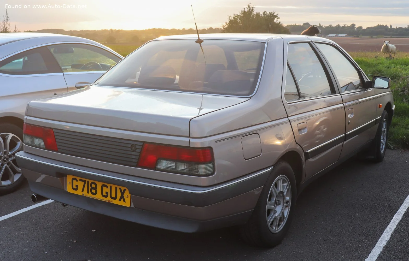 Peugeot 405 1.6 (72 Hp)1987 - 1992 thumbnail 4