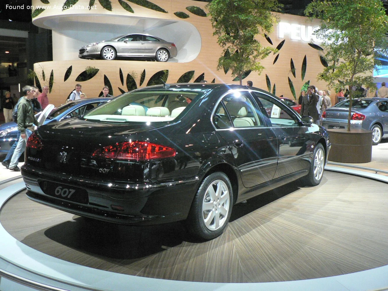Peugeot 607 2.0 HDi (136 Hp)2005 - 2009 thumbnail 7