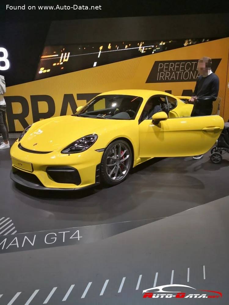 Porsche 718 2.0 (300 Hp)2016 - 2018 thumbnail 18