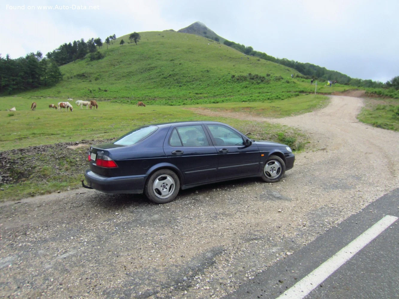 Saab 9-5 2.0i T SE (150 Hp)1998 - 2001 thumbnail 6