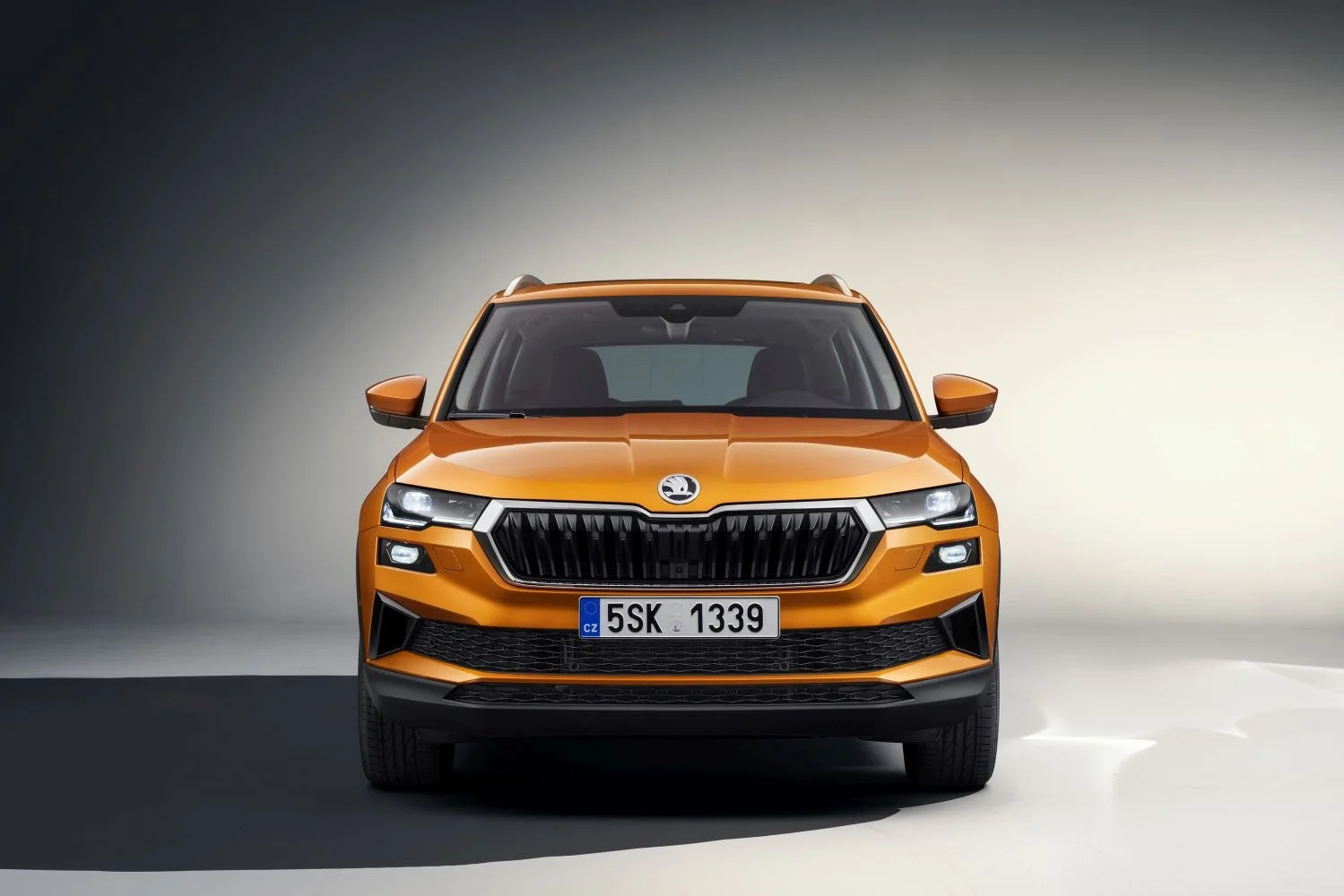 Skoda Karoq 1.0 TSI (110 Hp)2021 - 2023 thumbnail 7