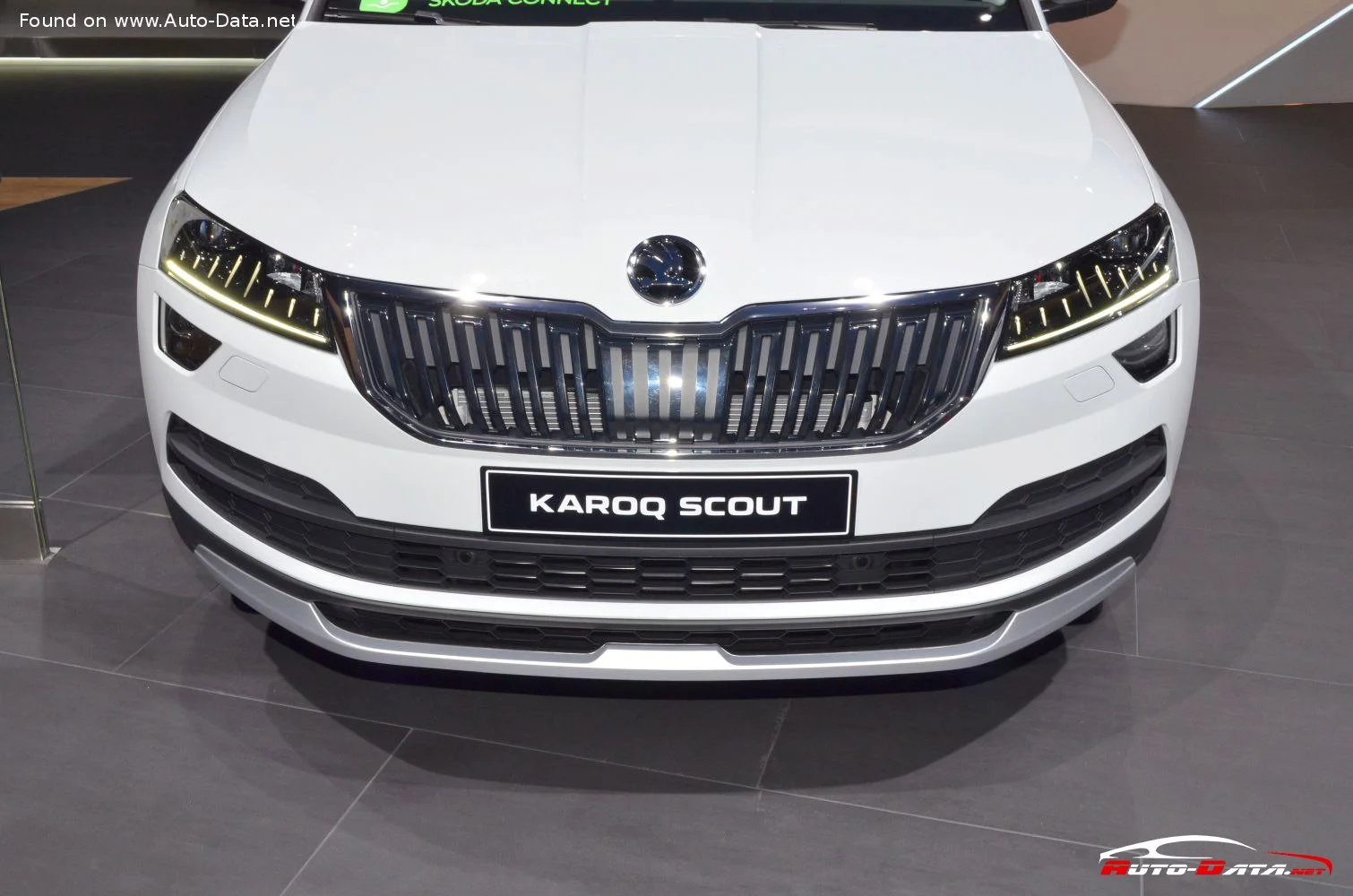 Skoda Karoq 2.0 TDI (150 Hp) 4x42018 - 2019 thumbnail 12