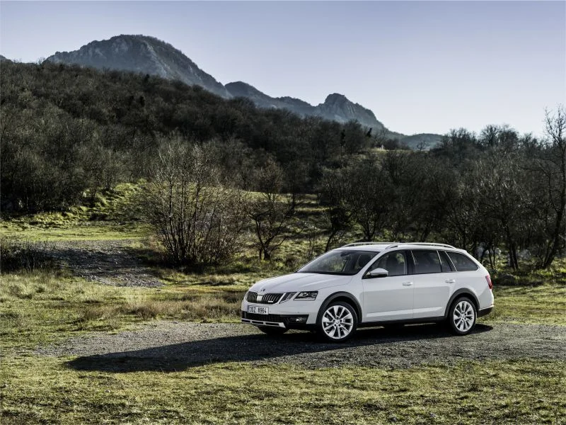 Skoda Octavia 1.8 TSI (180 Hp) DSG 4x42017 - 2018 - 1