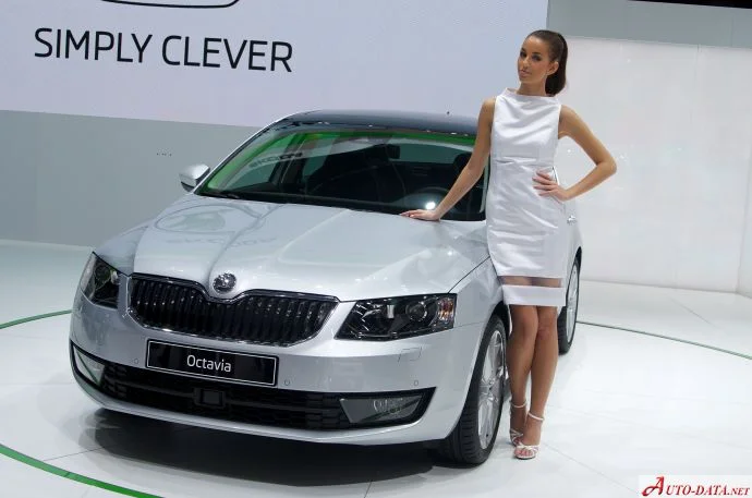 Skoda Octavia 1.0 TSI (115 Hp)2016 - 2017 thumbnail 9