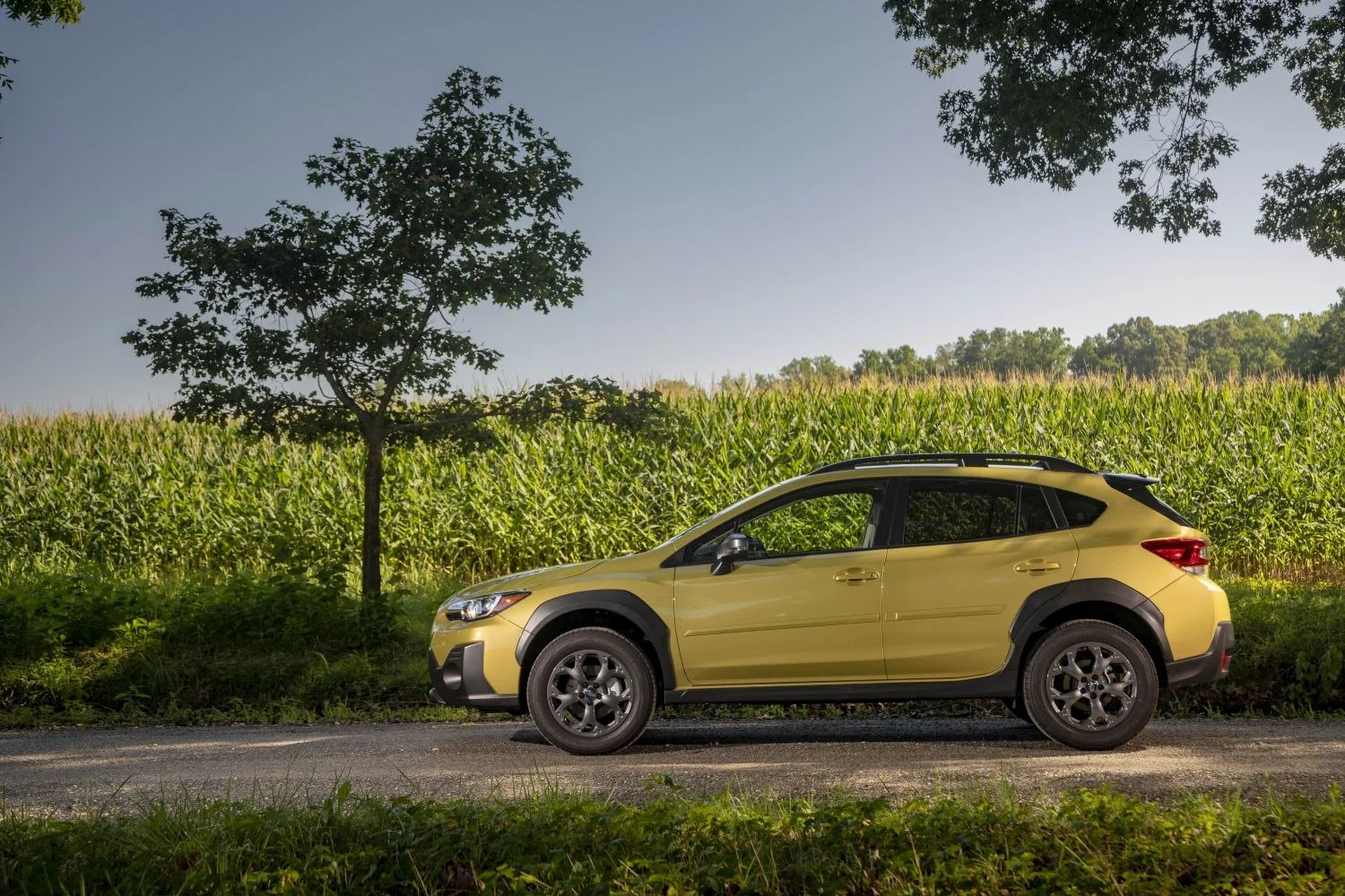 Subaru Crosstrek 2.0 (148 Hp) Plug-in Hybrid AWD CVT2022 - 2023 thumbnail 13