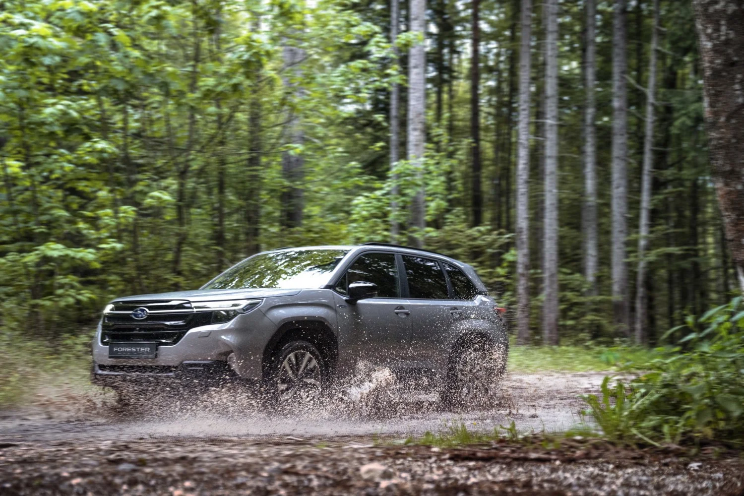 Subaru Forester 2.0i e-BOXER (136 Hp) AWD Lineartronic2024 - thumbnail 8