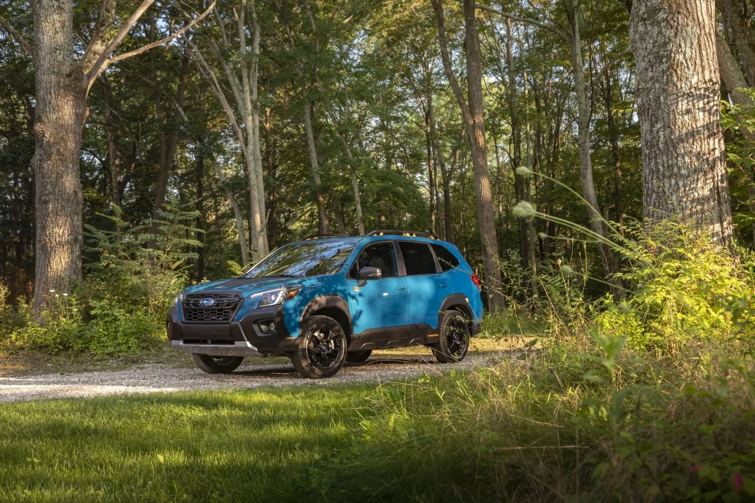 Subaru Forester 1.8 DIT (177 Hp) AWD Lineartronic2021 - 2024 - 1