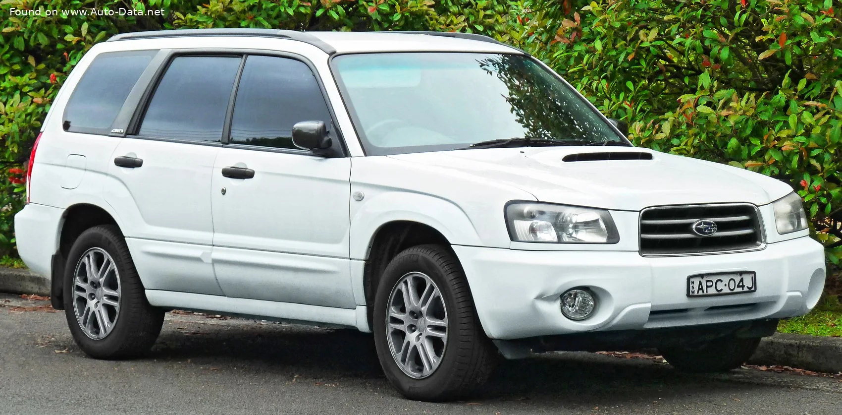 Subaru Forester 2.0 X (125 Hp)2002 - 2005 - 1