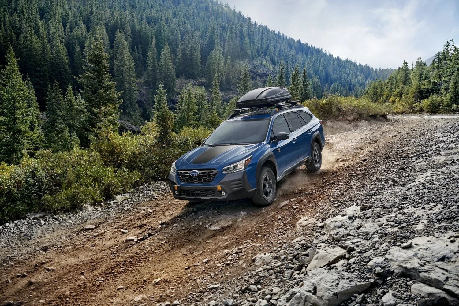 Subaru Outback 2.5 (182 Hp) AWD CVT2019 - 2022 thumbnail 7
