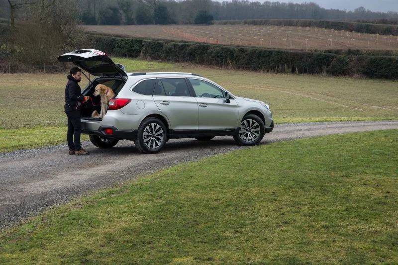 Subaru Outback 2.0d (150 Hp) AWD2014 - 2018 thumbnail 12
