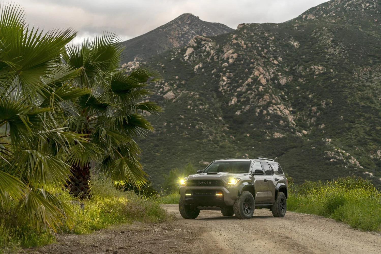 Toyota 4Runner modeli