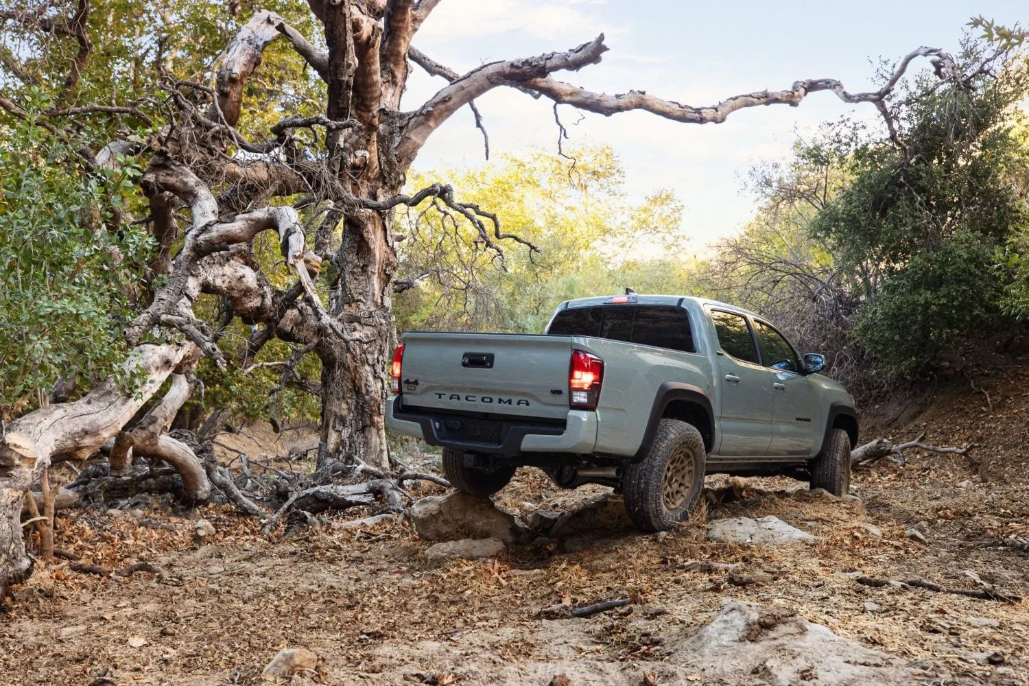 Toyota Tacoma 2.7 4CYL (159 Hp) ECT-i2020 - 2023 thumbnail 3