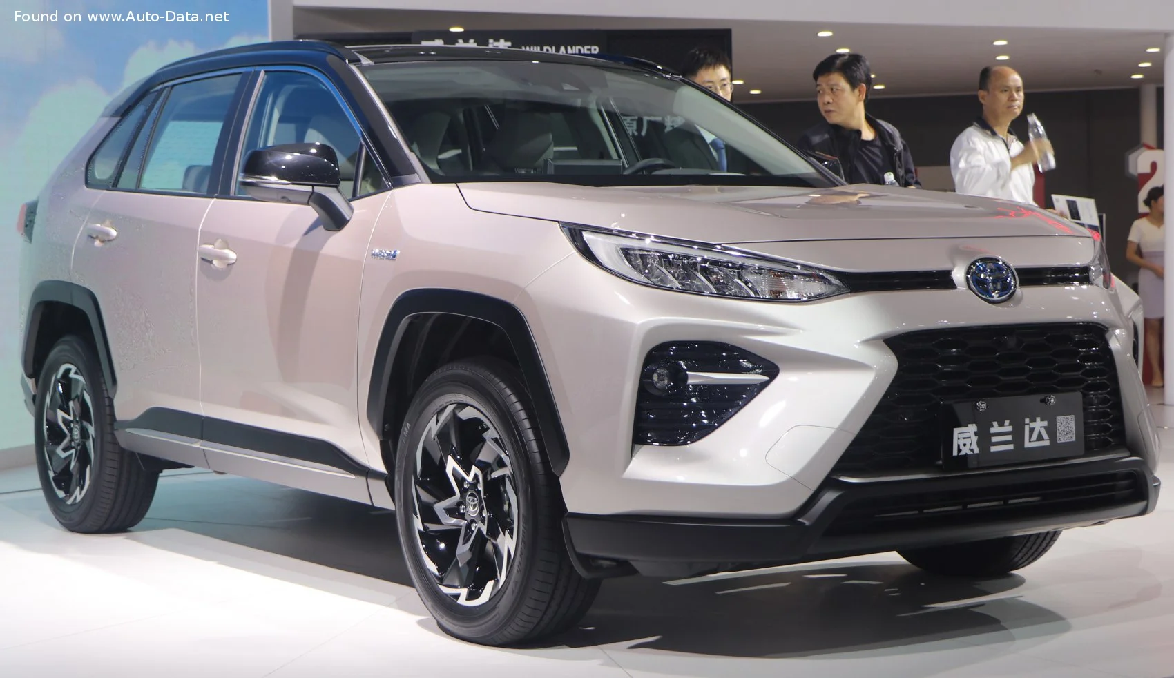 Toyota Wildlander modeli
