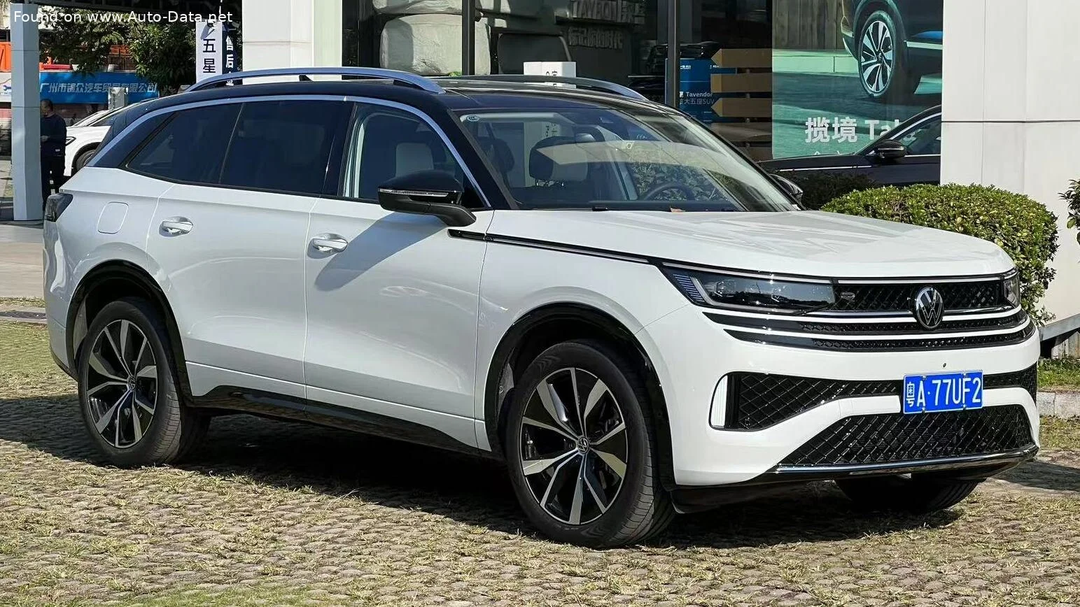Volkswagen Tavendor modeli