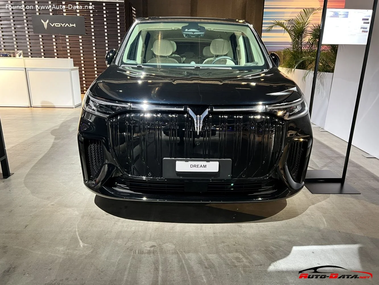 Voyah Dreamer 108.73 kWh (435 Hp) 4WD Electric2023 - 2024 thumbnail 9
