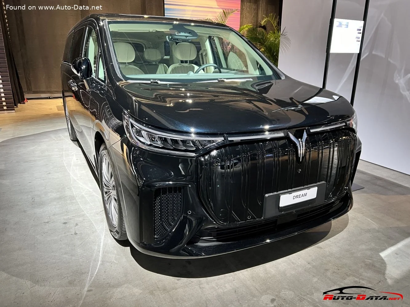 Voyah Dreamer 108.73 kWh (435 Hp) 4WD Electric2023 - 2024 thumbnail 10